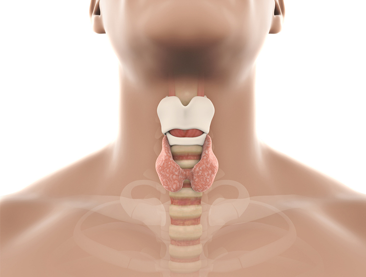 他の自己免疫疾患へのリンク